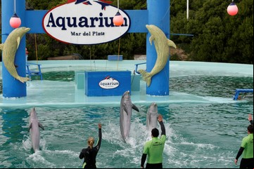 Tras 32 años, anuncian el cierre definitivo del Aquarium de Mar del Plata