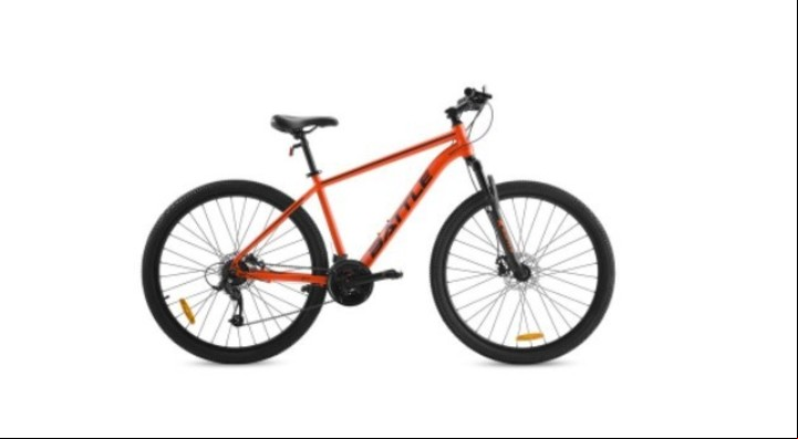 Mountain Bike rodado 29