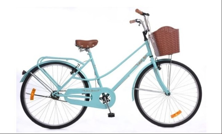 Bicicleta de paseo rodado 26.