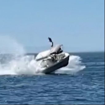 Instante de terror en un video: avistaban ballenas desde un barco, chocan con una de ellas y salieron volando
