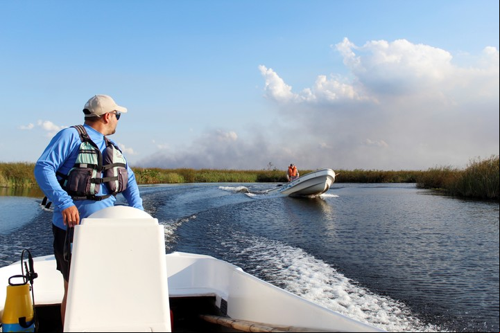 Paseos organizados con guías para explorar los Esteros del Iberá. Foto Cristian Cardozo PH Y RF FOTOGRAFÍAS