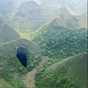 Descubren un gigantesco bosque en el interior de una montaña