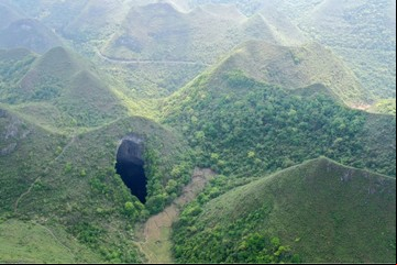 Descubren un gigantesco bosque en el interior de una montaña