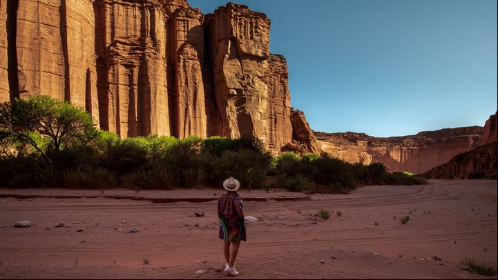 Los paredones rojizos de Talampaya tienen casi 150 metros de alto. Foto Parques Nacionales