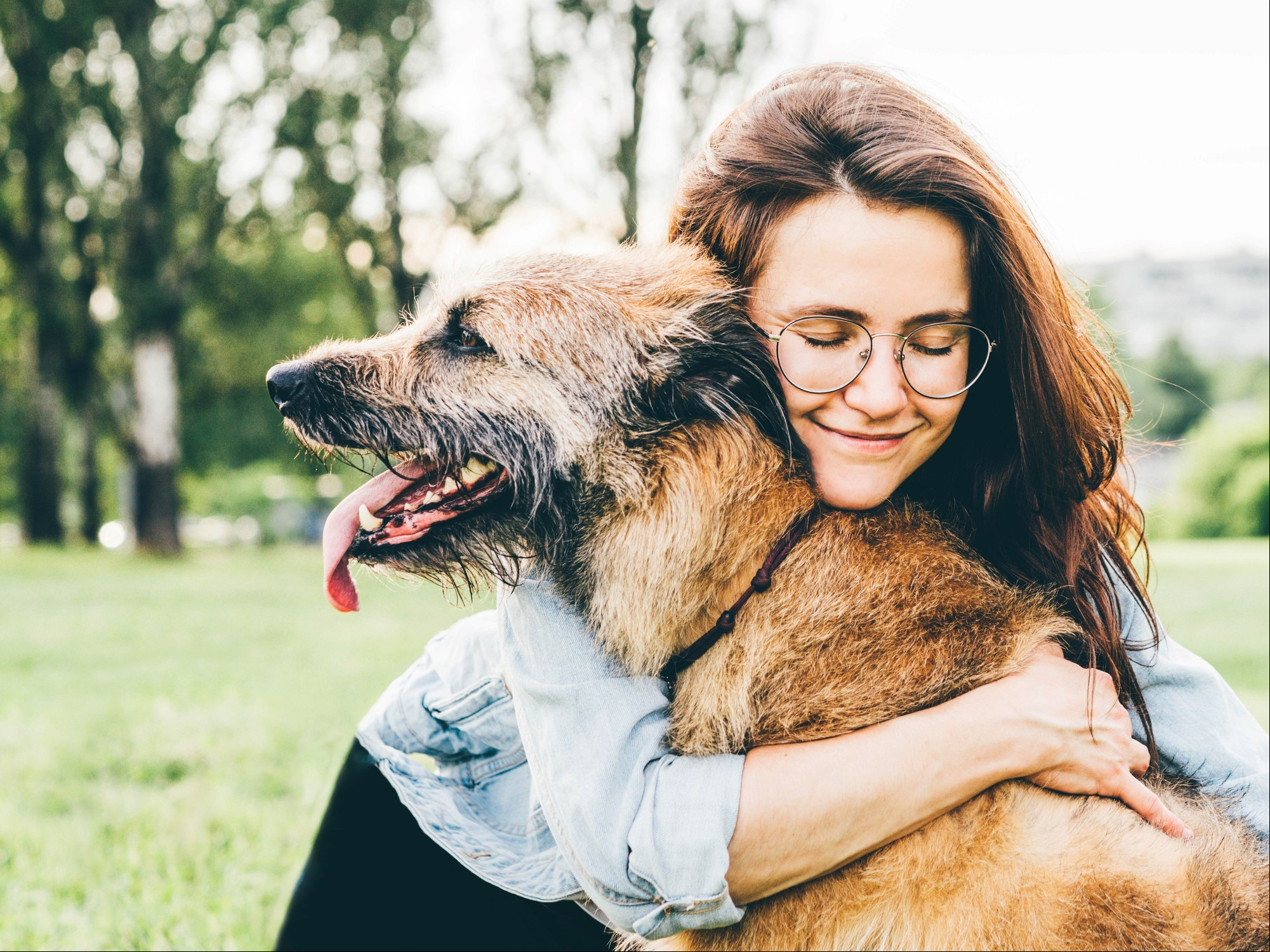 Así se despiden los perros: las señales que dan antes de morir