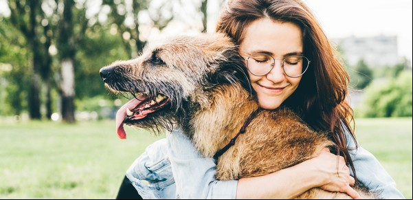 Así se despiden los perros: las señales que dan antes de morir