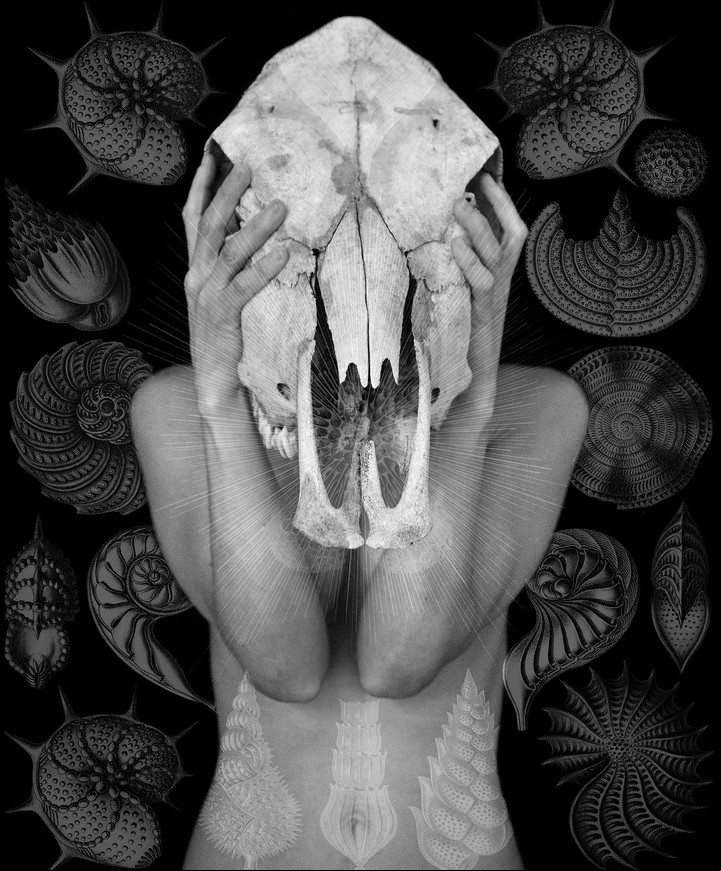 "Osis #9", 2016. Obra de Tatiana Parcero.