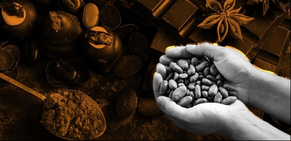 Mundo chocolate: secretos de una tentación irresistible y 10 claves para disfrutarlo mejor