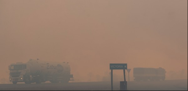 Sobreseyeron a 42 productores por los incendios forestales frente a Rosario 