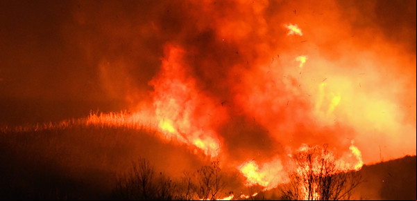 Incendios en el Delta: por primera vez llegan a juicio dos causas por quemas intencionales y hay seis acusados