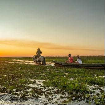 Esteros del Iberá, el paraíso natural que volvió a la vida tras los incendios