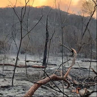 Los incendios arrasan con más de 5.000 hectáreas de bosque en Jujuy y hay fuego en otras cuatro provincias