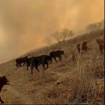 El campo no quiere humo y enfrenta las acusaciones