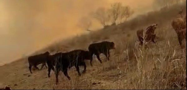 El campo no quiere humo y enfrenta las acusaciones