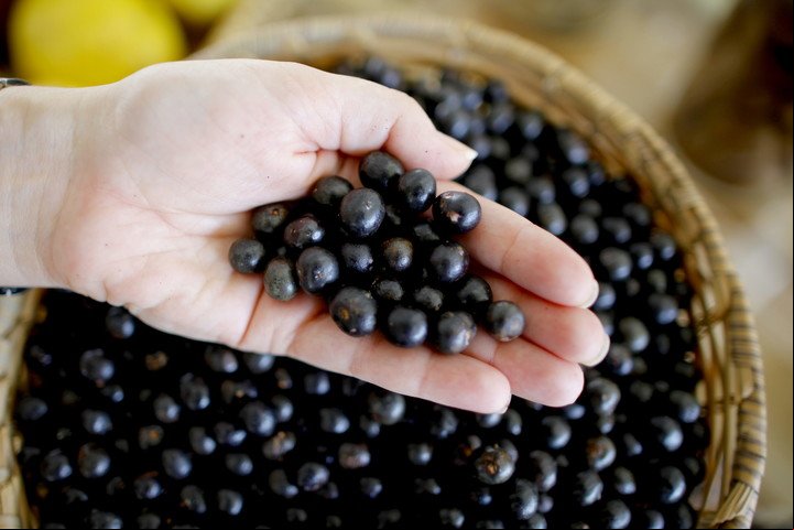 Açaí fresco, recién cosechado. EFE/Fernando Bizerra Jr.