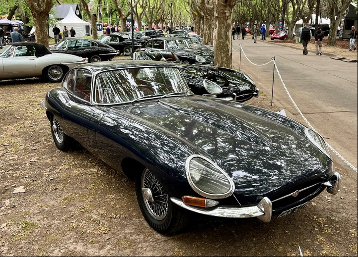 Tributo en Autoclásica 2022 al Jaguar E-Type, el "auto más hermoso del mundo", según Enzo Ferrari.