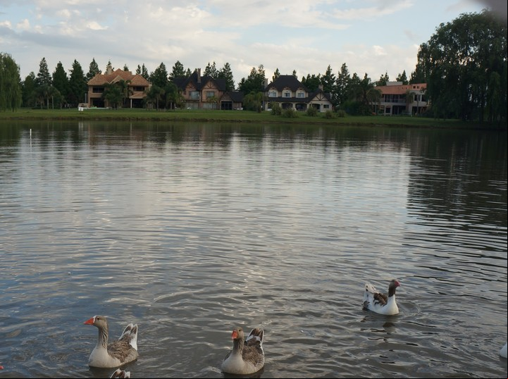 El Lauquen, en Zona Sur, alquileres en casas amplias con parque y pileta de natación. Gentileza ESV Propiedades
