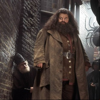 Robbie Coltrane, el actor de Hagrid en Harry Potter, murió a los 72 años