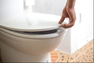 Escala de Bristol: un especialista explica qué dice tu caca sobre tu salud y a qué estar atento