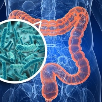 Cómo se limpia el colon de forma natural