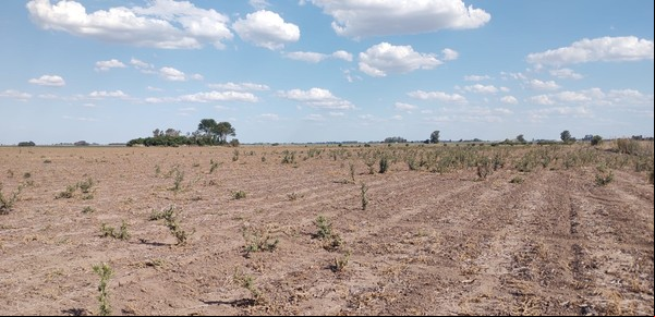 Confirmado: La Niña regresa pronto y se instalará hasta el verano