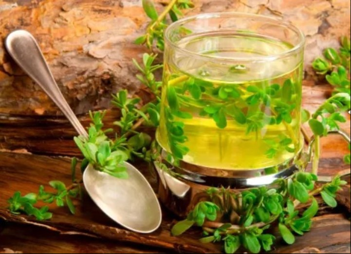 Cómo preparar una infusión de bacopa.