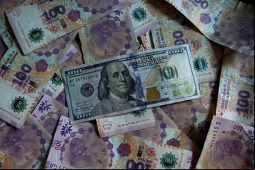 Hacer rendir los pesos: cómo adquirir dólares sin límite y obtener ganancias de hasta un 19% anual
