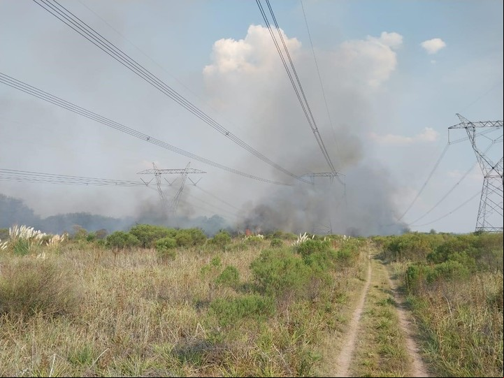 Transener opera 12.400 kilómetros de líneas eléctricas en alta tensión.