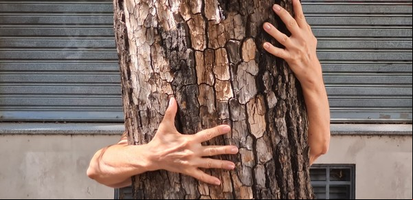 La mujer que abraza árboles y les pone nombres humanos