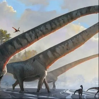 Descubren el dinosaurio con el cuello más largo de todos los conocidos