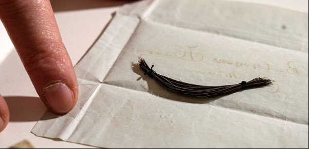 Un nuevo ADN al cabello de Beethoven reveló una enfermedad que aceleró su muerte