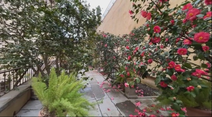 El jardón fue creado a mediados del siglo XVII (Captura de video).