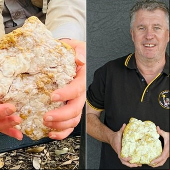 Un hombre encontró una roca que contenía 2,6 kilos de oro