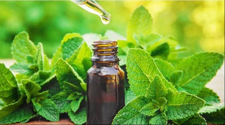 Aceite esencial de menta piperita, otra opción de remedio casero.