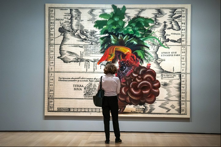 Una mujer observa la obra titulada "Terra Nova" de la artista dominicana Firela Báez, exhibida durante una presentación previa de la exposición "Chosen Memories" (Recuerdos elegidos), en el Museo de Arte Moderno (MoMA). EFE/Ángel Colmenares