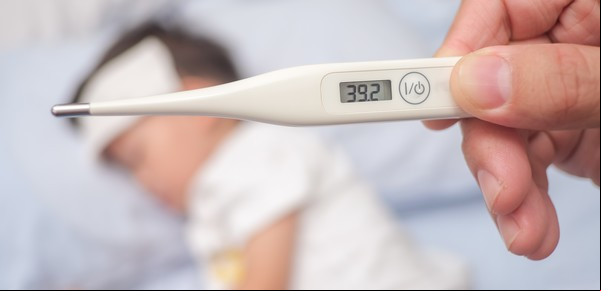 Cuál es el órgano que regula la temperatura del cuerpo humano