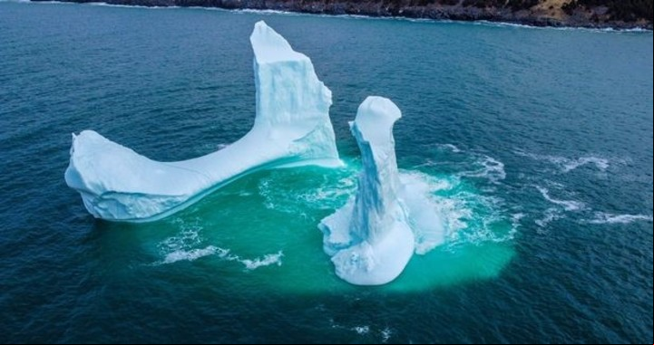 El pene flotante pasó frente a la costa de Dildo. Foto: Facebook/Ken Pretty