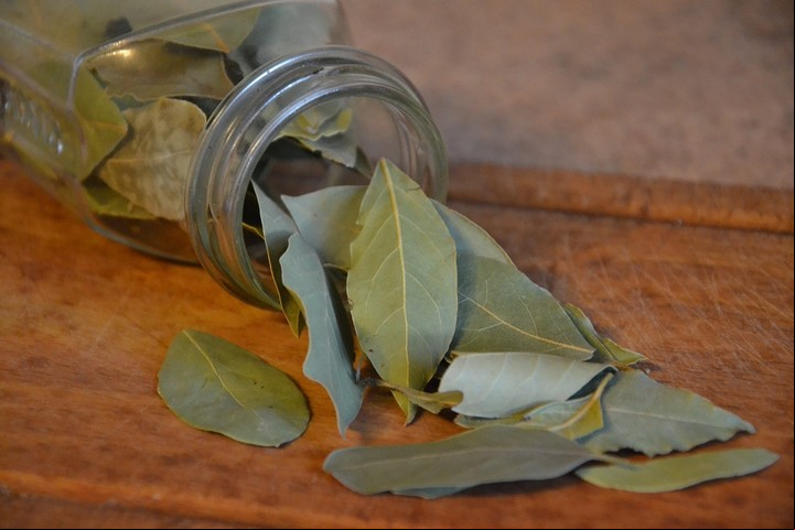 El laurel tiene propiedades analgésicas y antiinflamatorias. Foto: Pixabay