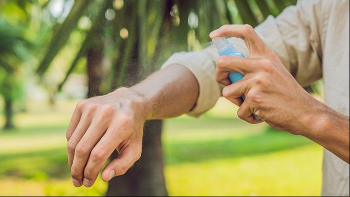 Los repelentes caseros son una opción barata y fácil contra los mosquitos.