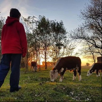 Calles de tierra, estación de tren y la mejor milanesa del país: dónde queda el pueblito rural ideal para una escapada de otoño