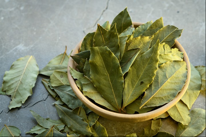 El laurel ayuda a limpiar la energía negativa acumulada en los espacios. Foto: Shutterstock.