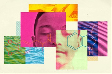 ¿Cómo es una buena terapia psicodélica?