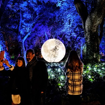 "Secret Garden" en fotos: una experiencia única para vivir en el Jardín Botánico