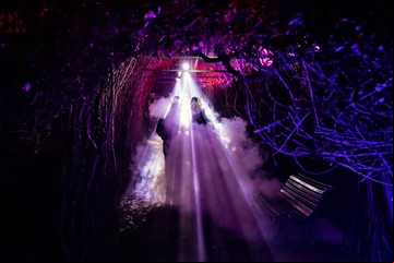 Una noche en el Botánico: el jardín que se transforma de noche para contar sus secretos