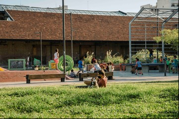 Las plantas nativas están de moda, ¿siempre convienen en un proyecto de paisajismo? 