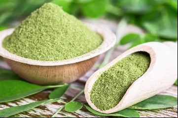 10 beneficios de la moringa, "la planta milagrosa" que pocos conocen