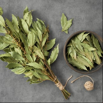 Qué significa que te regalen una hoja de laurel, según la espiritualidad