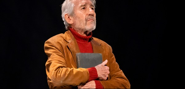 José Sacristán conmueve en la excelente Señora de rojo sobre fondo gris