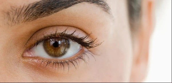 Trasplante de cejas: el cambio de tendencia en la moda que derivó en un boom de cirugías estéticas