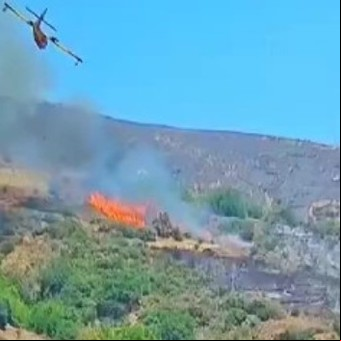 Video: se estrelló un avión mientras combatía los incendios en Grecia